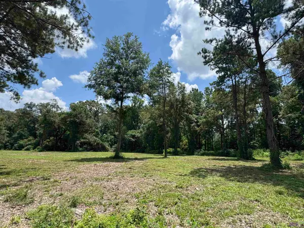 Tract A La Hwy 16, Denham Springs, LA 70706