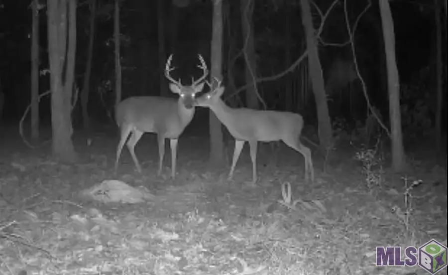 RS-2&3 La Hwy 16, Denham Springs, LA 70706 - #3