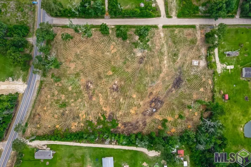 12411 Springfield Rd, Denham Springs, LA 70706 - #1