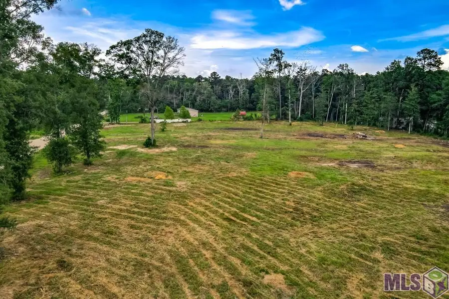 12411 Springfield Rd, Denham Springs, LA 70706 - #2