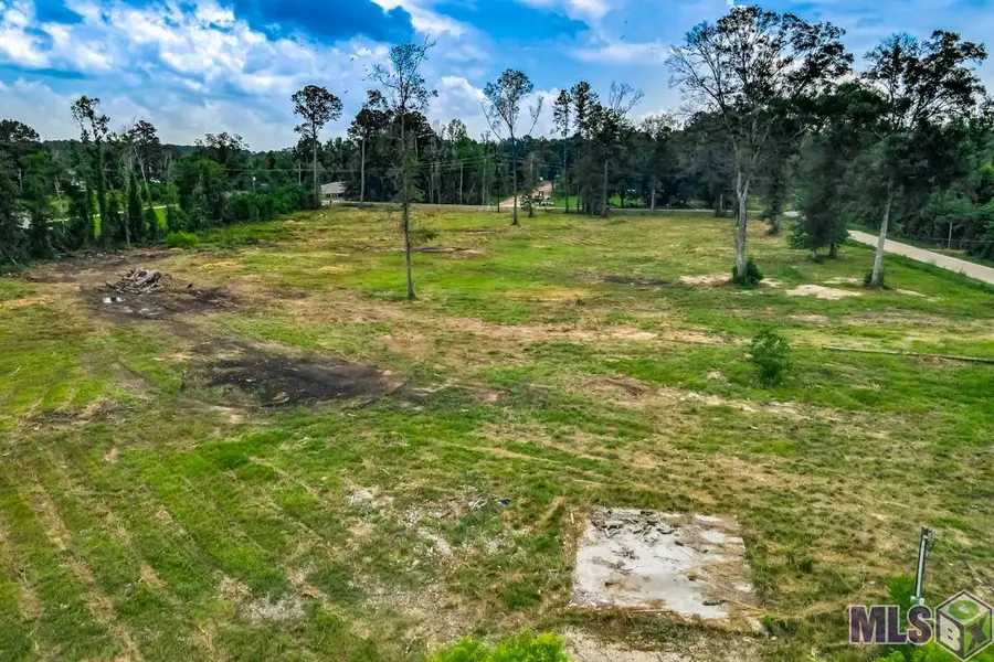 12411 Springfield Rd, Denham Springs, LA 70706 - #3