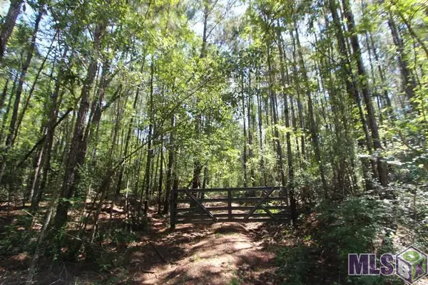 0 Aunt Margies Road, Greensburg, LA 70441