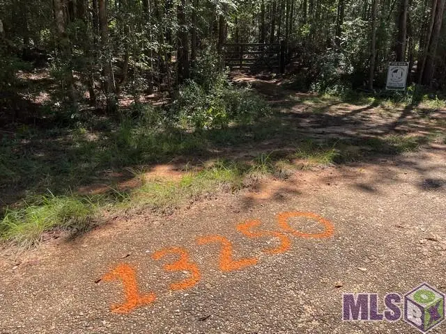 0 Aunt Margies Road, Greensburg, LA 70441 - #2