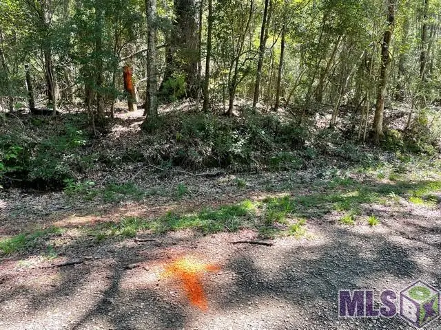 0 Aunt Margies Road, Greensburg, LA 70441 - #3