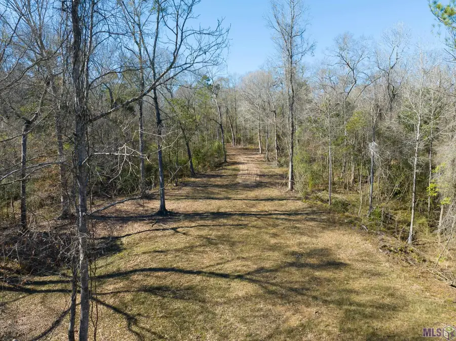 7326 Stirling Rd, Saint Francisville, LA 70775 - #2