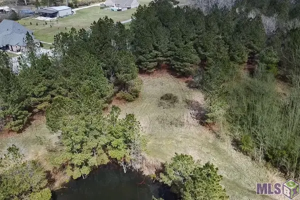 TBD Washington Ln, Central, LA 70739