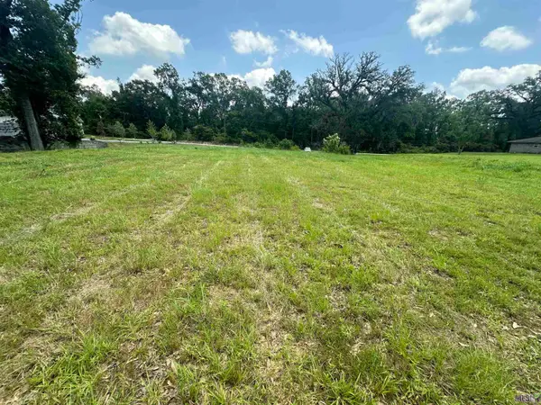 A-1 Swamp Rd, Prairieville, LA 70769