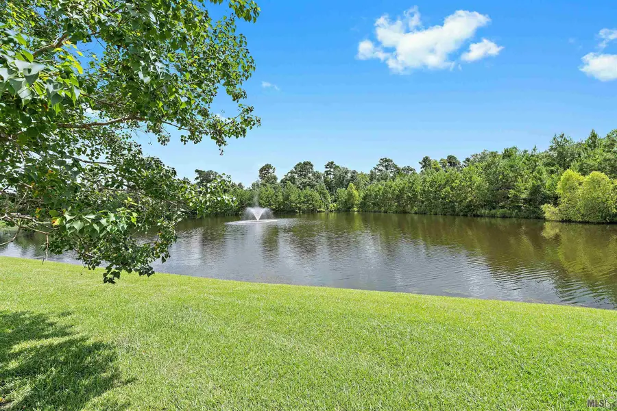 26222 Avoyelles Ave, Denham Springs, LA 70726 - #3