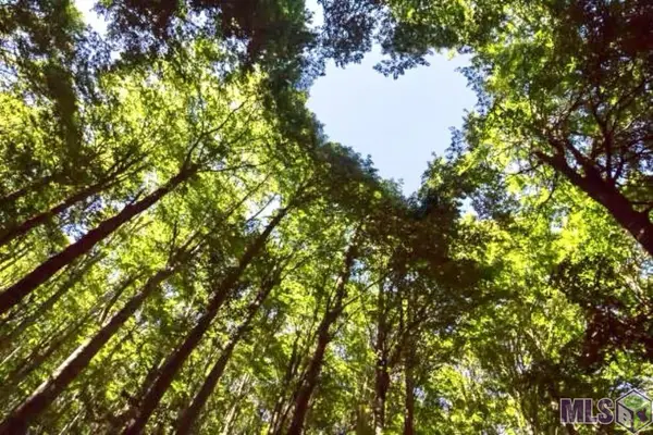 TBD Henderson Ln, Clinton, LA 70722