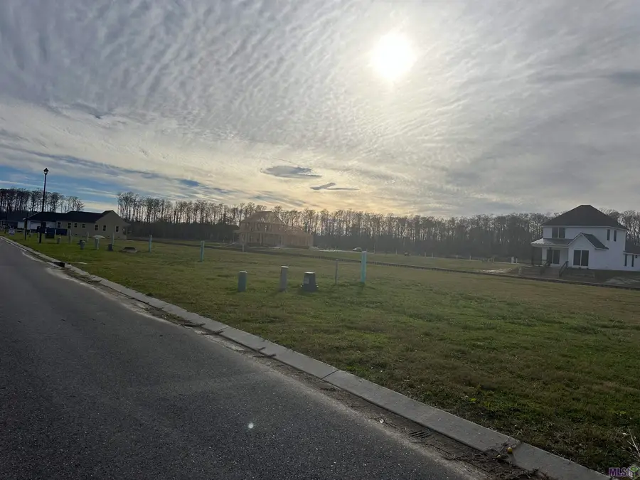 12840 St Lucia Dr, Maurepas, LA 70449 - #3