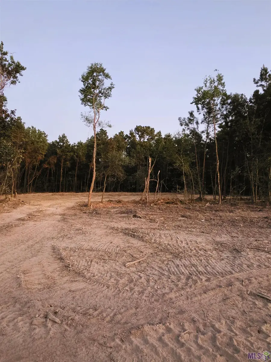 17243 Jack Allen Rd, Livingston, LA 70754 - #3
