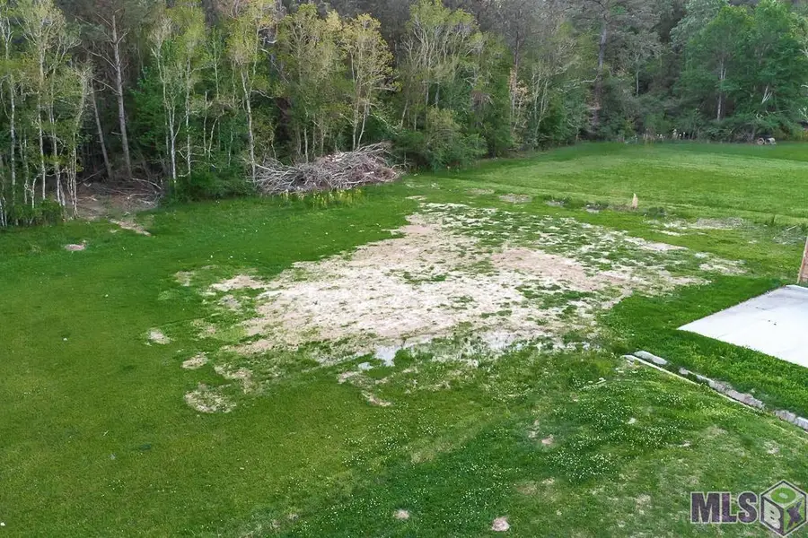 Tract 2-A La Hwy 42, Livingston, LA 70754 - #2