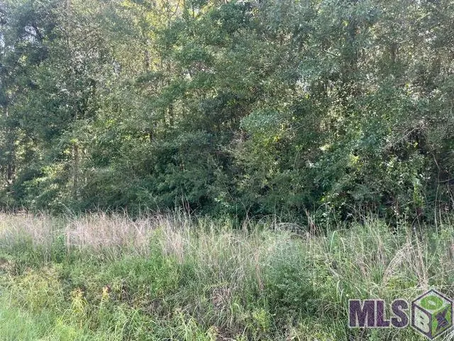 LOT 19 Trap St, Abita Springs, LA 70420 - #1