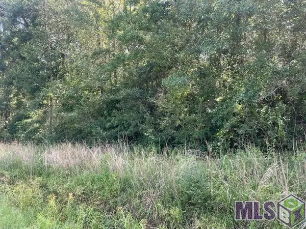 LOT 19 Trap St, Abita Springs, LA 70420