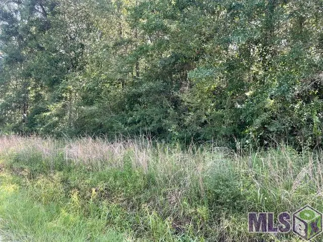 LOT 19 Trap St, Abita Springs, LA 70420 - #2