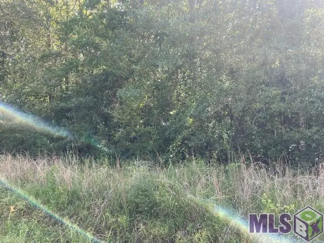 LOT 19 Trap St, Abita Springs, LA 70420 - #3