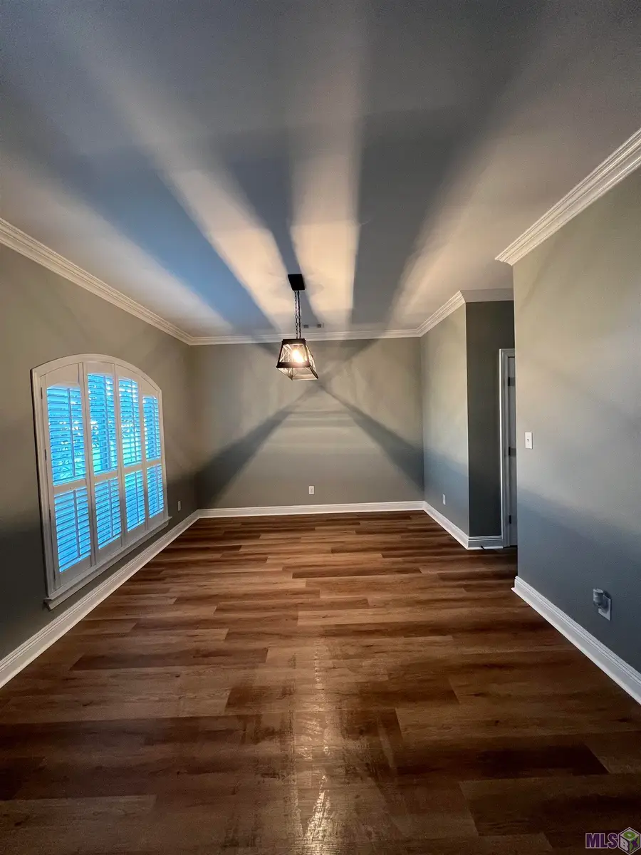 42150 Bald Eagle Ave, Prairieville, LA 70769 - #2