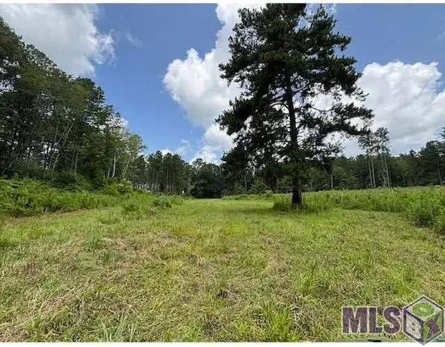 182 Hwy 44, Jayess, MS 39641 - #2