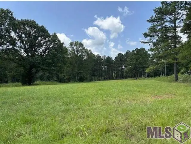 182 Hwy 44, Jayess, MS 39641 - #3