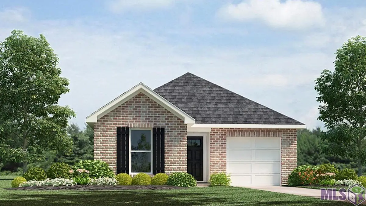 14252 Monmouth Ave, Denham Springs, LA 70726 - #1