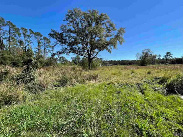 20272 Lynda Drive, Springfield, LA 70462