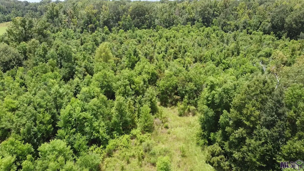 8382 Main St, Zachary, LA 70791 - #1