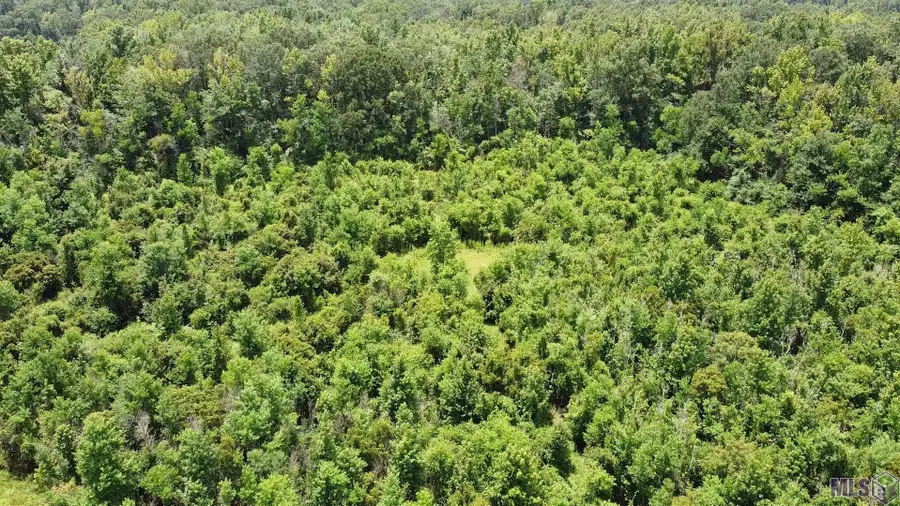 8382 Main St, Zachary, LA 70791 - #2