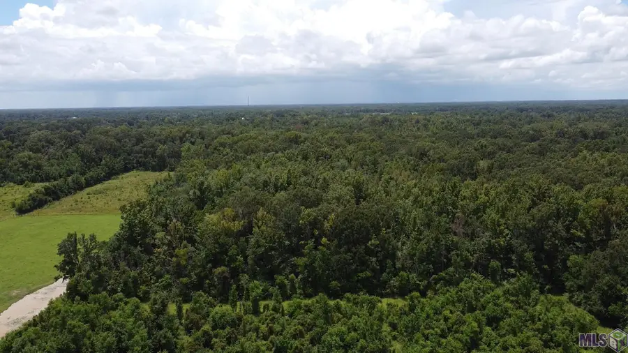 8382 Main St, Zachary, LA 70791 - #3