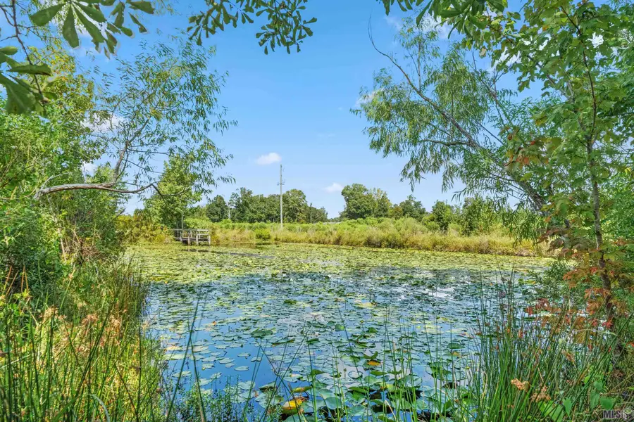 Tract L-1-C N Joor Rd, Zachary, LA 70791 - #2