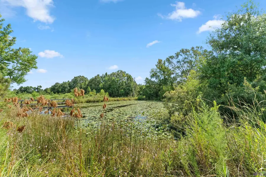 Tract L-1-C N Joor Rd, Zachary, LA 70791 - #3