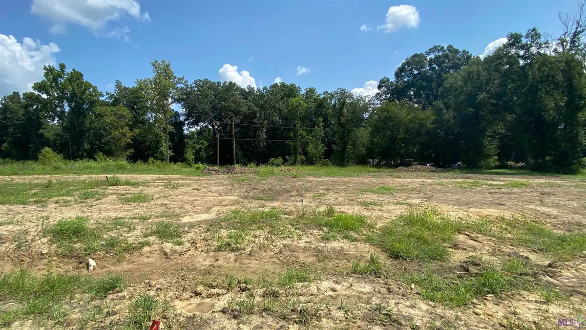 35706 Sha Da Loo Lane, Geismar, LA 70734 - #1