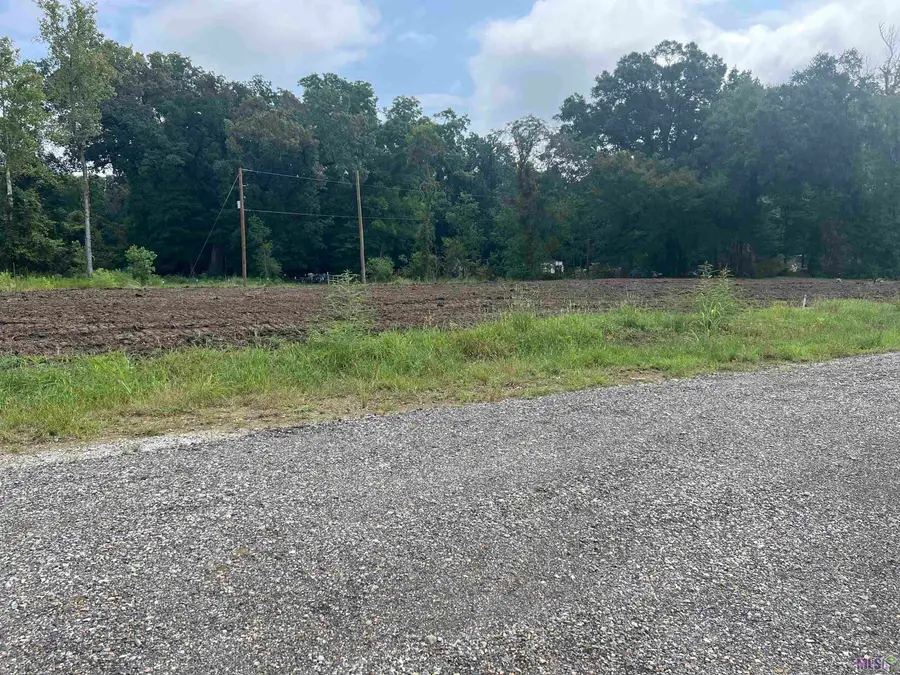 35706 Sha Da Loo Lane, Geismar, LA 70734 - #3