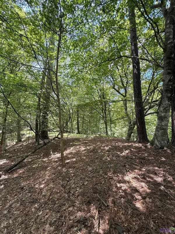 7735a Old Tunica Rd, St. Francisville, LA 70775