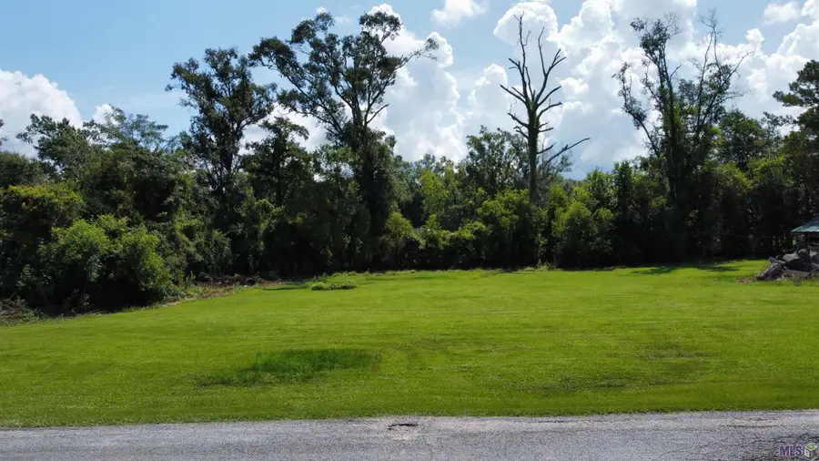 TBD R And V Way, Saint Amant, LA 70774 - #3