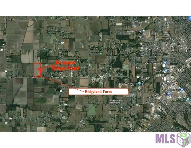 2426 Ridge Rd, Duson, LA 70529 - #3