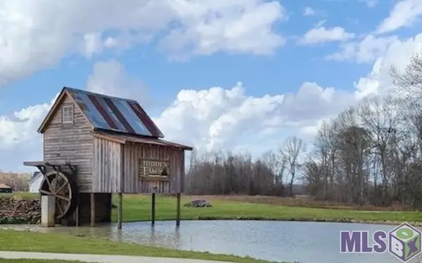 43262 Collyns Cove, Prairieville, LA 70769