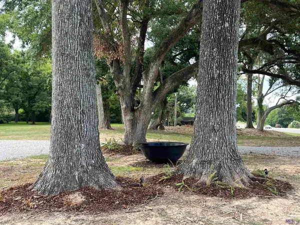 7357 Us Hwy 61, St. Francisville, LA 70775