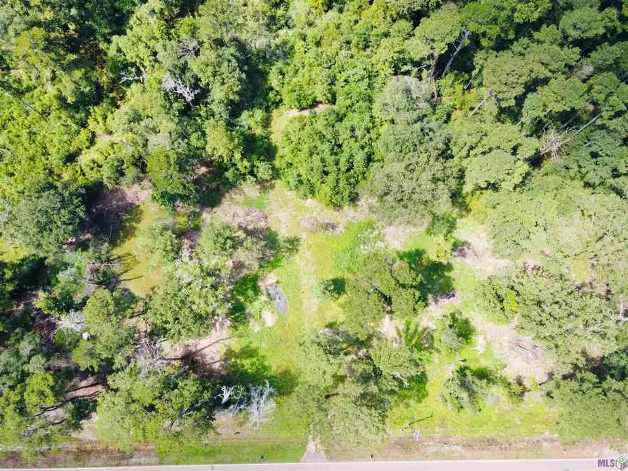 31519 La Hwy 1036, Holden, LA 70744 - #2