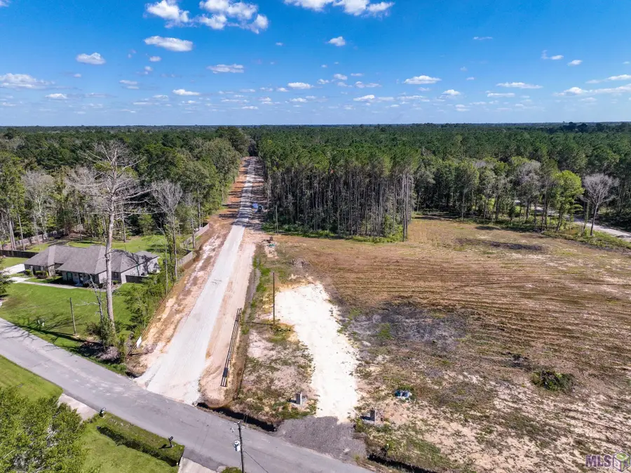 34772 Clinton Allen Rd, Denham Springs, LA 70706 - #3