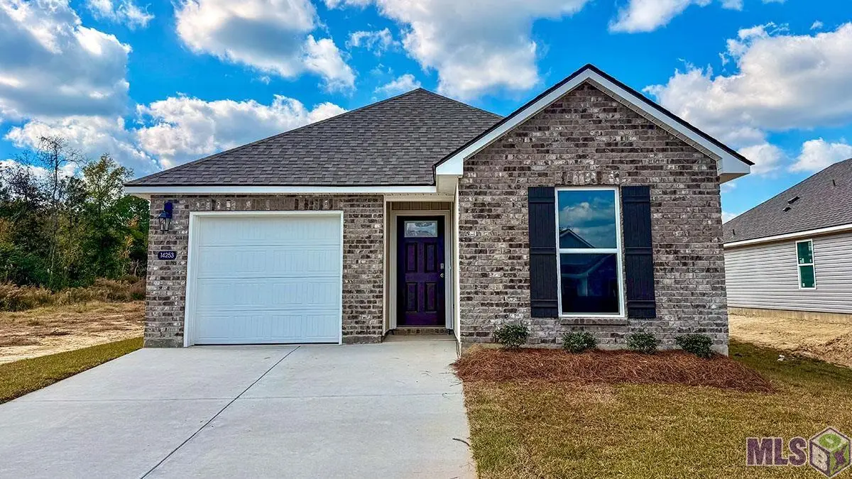 14253 Monmouth Ave, Denham Springs, LA 70726 - #1