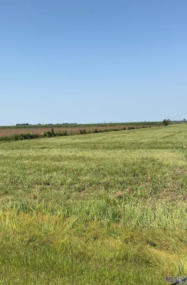 1225 Plumwood St, Port Allen, LA 70767