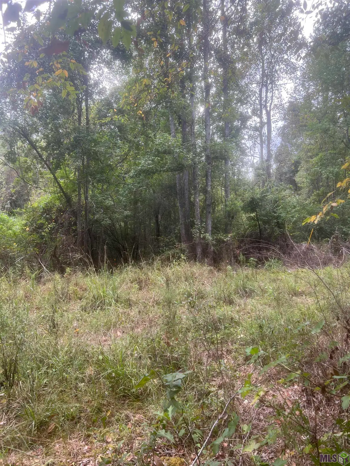 tract 1 Battle Rd, Ethel, LA 70730 - #1