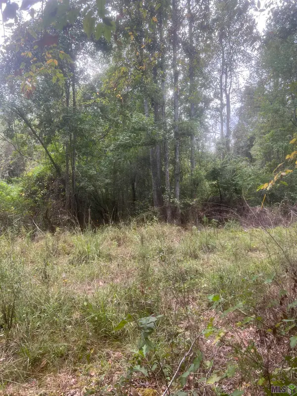 tract 1 Battle Rd, Ethel, LA 70730