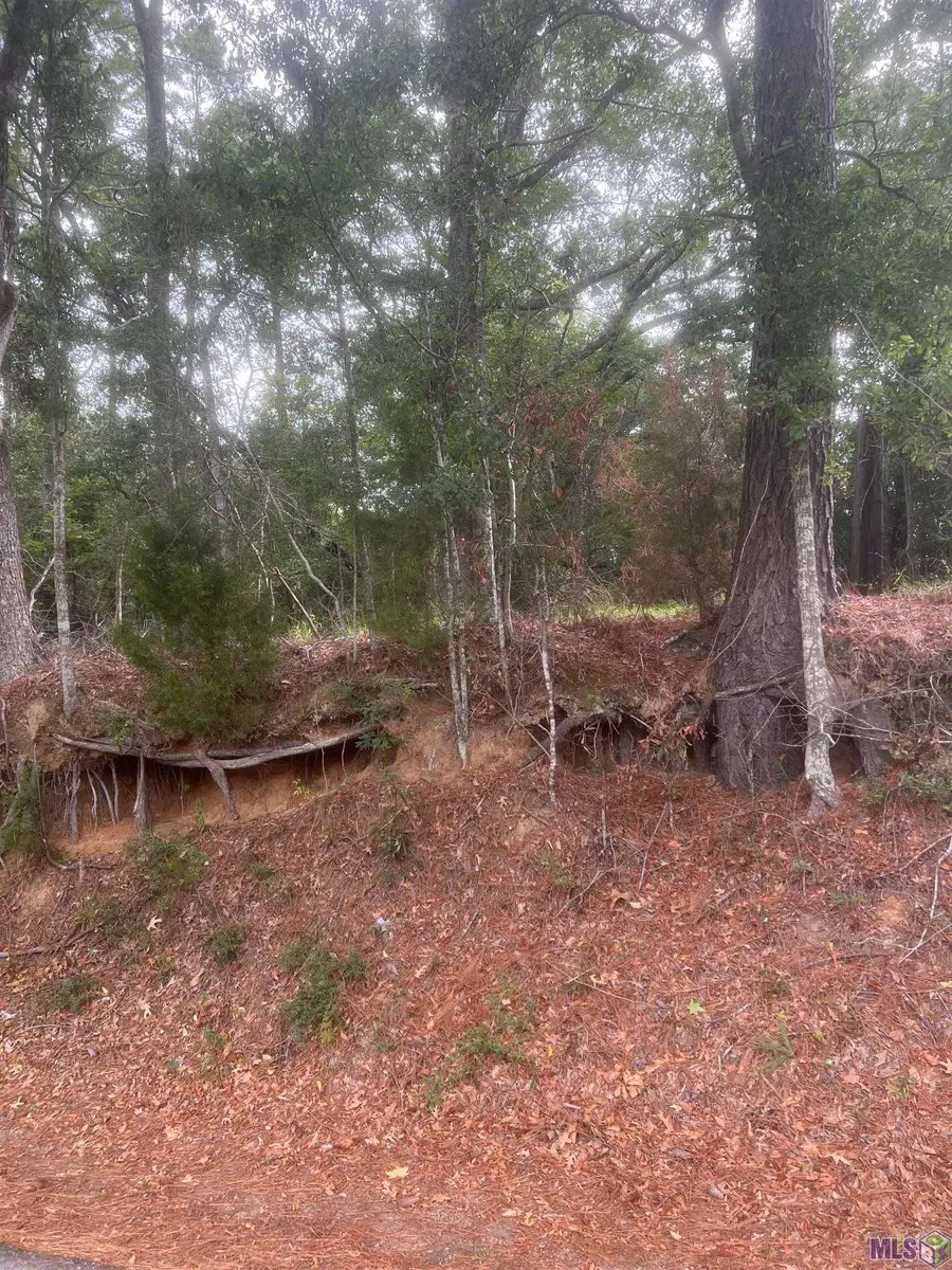 tract 1 Battle Rd, Ethel, LA 70730 - #2