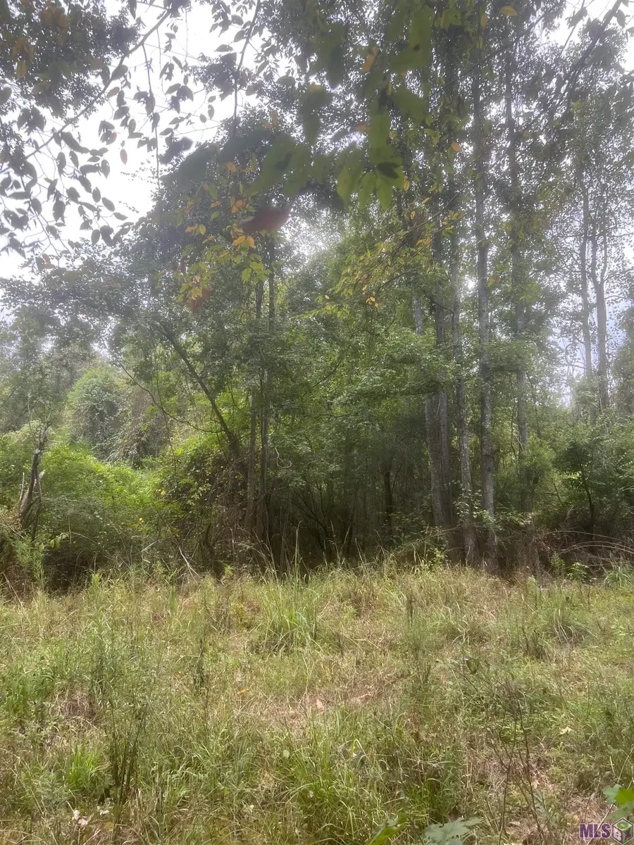 tract 1 Battle Rd, Ethel, LA 70730 - #3