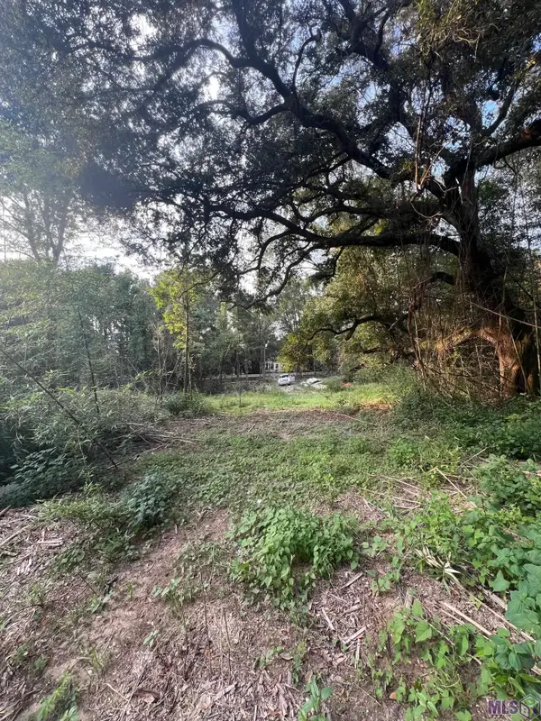 A2A3 Greenwell Springs Rd, Greenwell Springs, LA 70739