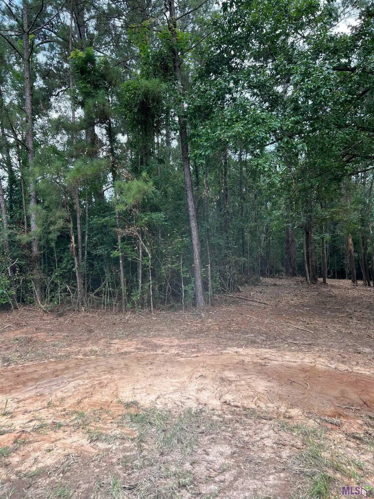 TBD Hwy 10, Clinton, LA 70722 - #1