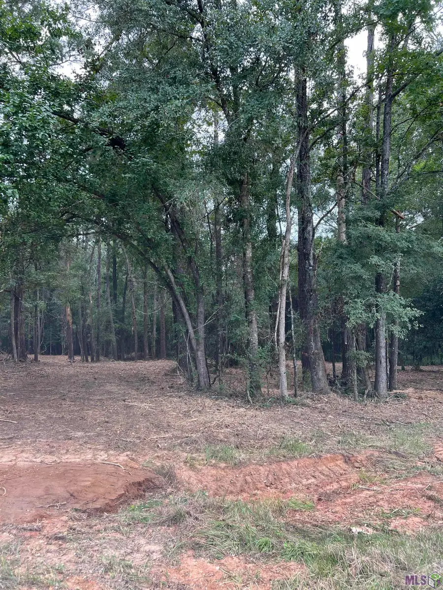 TBD Hwy 10, Clinton, LA 70722 - #2