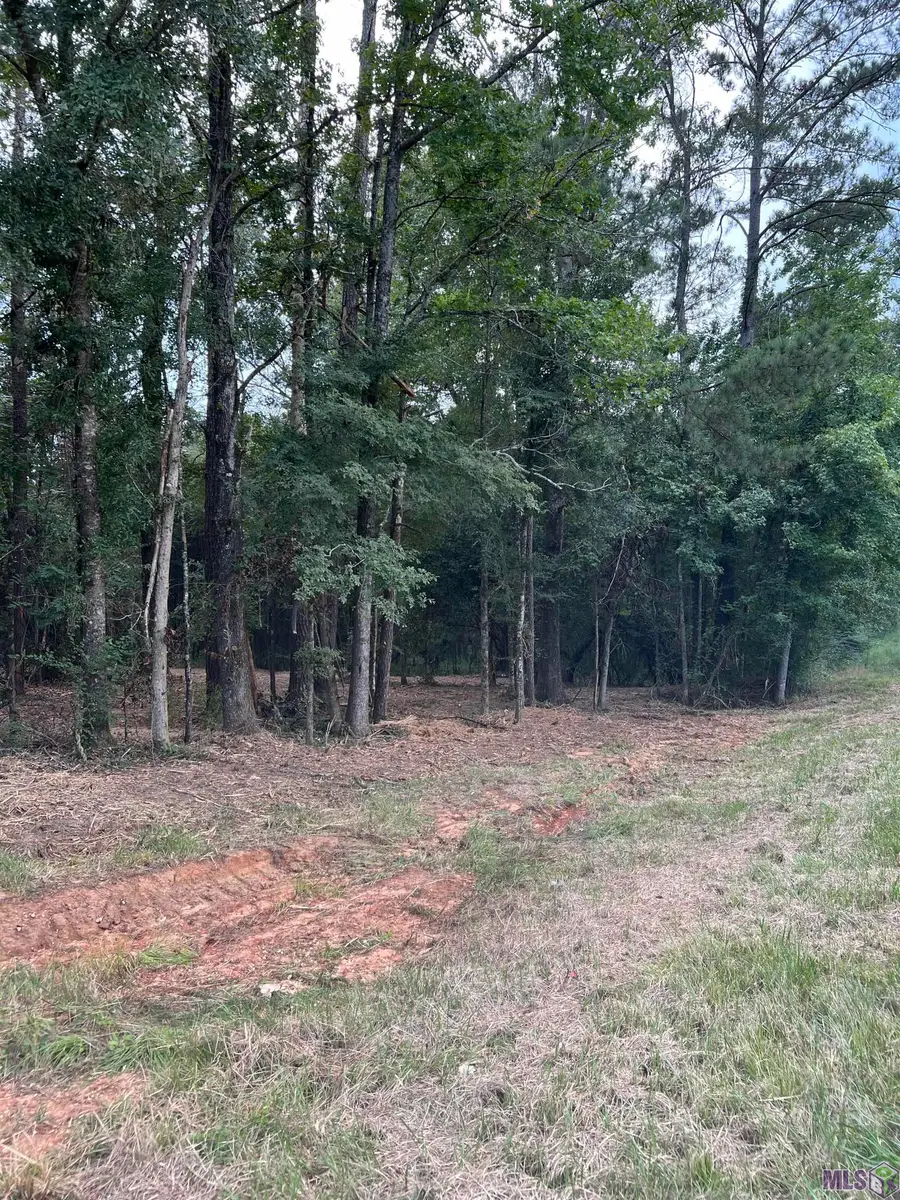 TBD Hwy 10, Clinton, LA 70722 - #3