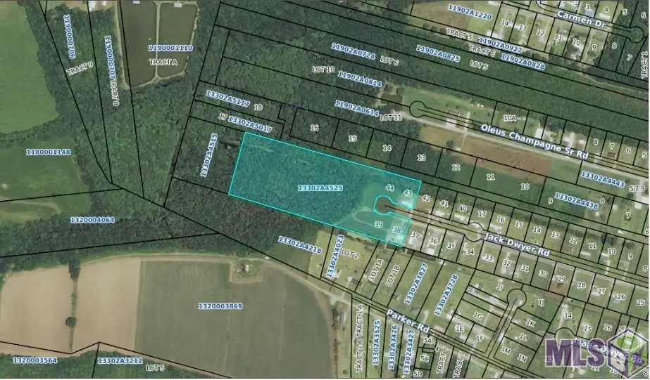 Jack Dwyer Rd, Saint Martinville, LA 70582 - #1